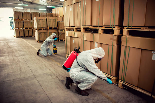 Best Local Pest Control Services  in Meadowbrook, AL