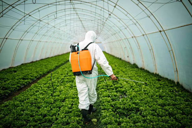Best Residential Pest Control  in Meadowbrook, AL
