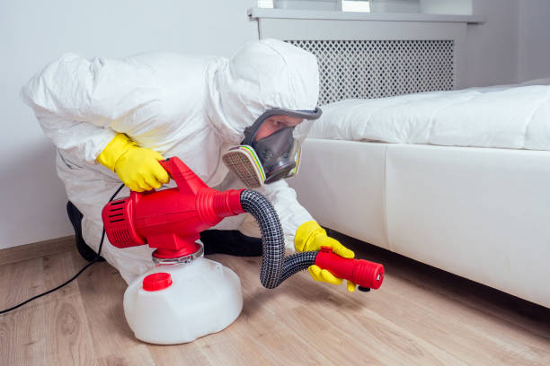 Best Insect Control  in Meadowbrook, AL