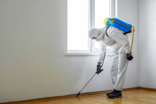 Best Pest Inspection Near Me  in Meadowbrook, AL