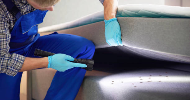 Best Bed Bug Extermination  in Meadowbrook, AL