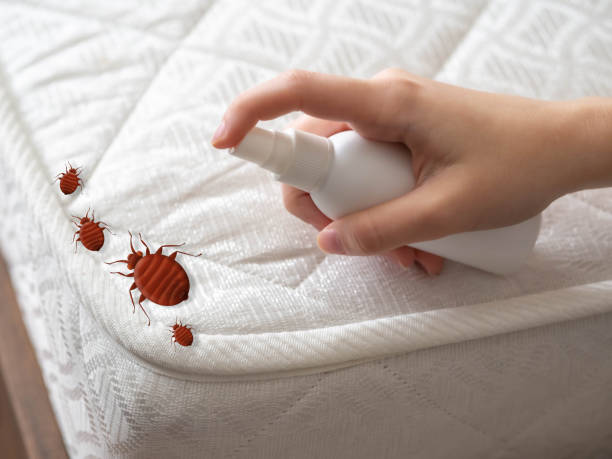 Best Best Pest Control Companies  in Meadowbrook, AL