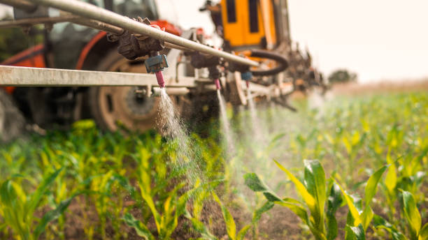 Pest Control Cost in Meadowbrook, AL